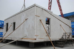 8小時修建180㎡毛坯別墅,成本不到傳統(tǒng)建材一半,質量卻翻